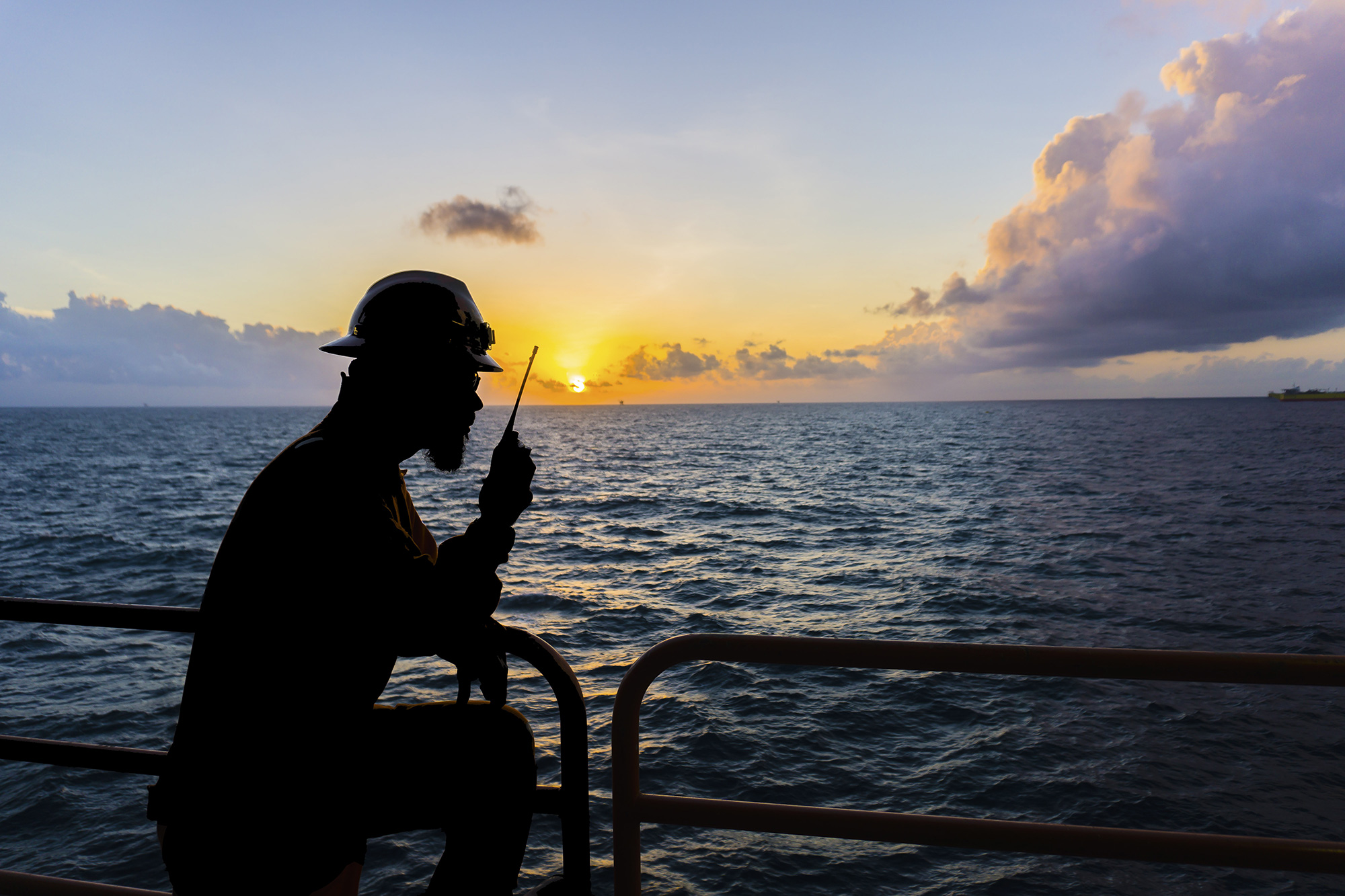 Shutterstock 560493787 Tratada